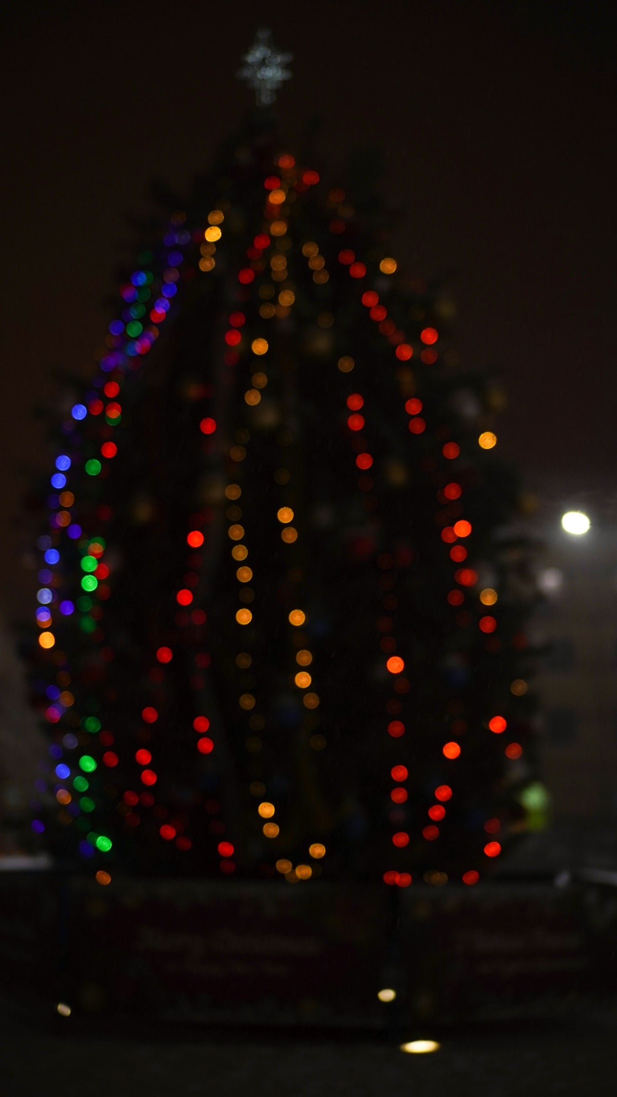 a tree with lights