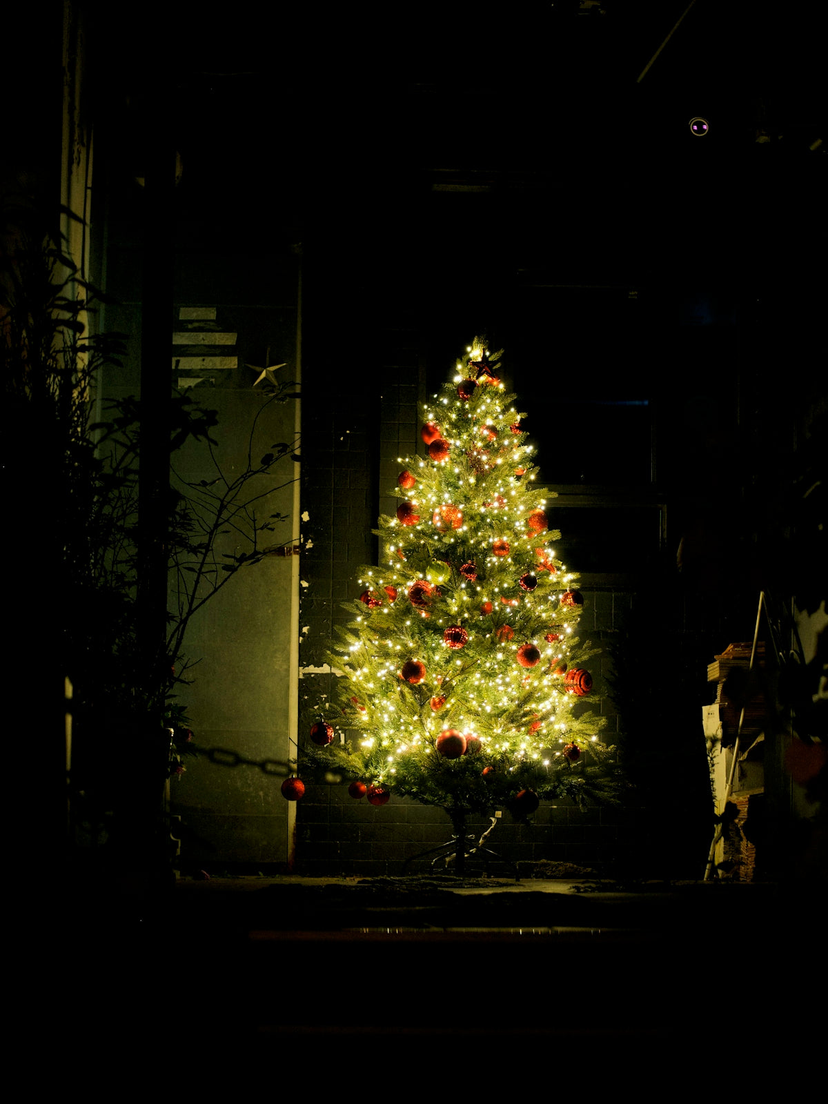 A lit christmas tree in a dark room